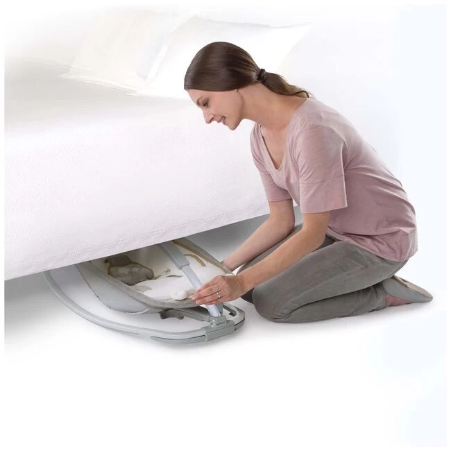 Ingenuity Boutique Collection Rocking Seat Wipstoel 7 Ingenuity Boutique Collection Rocking Seat Wipstoel - Afbeelding 5