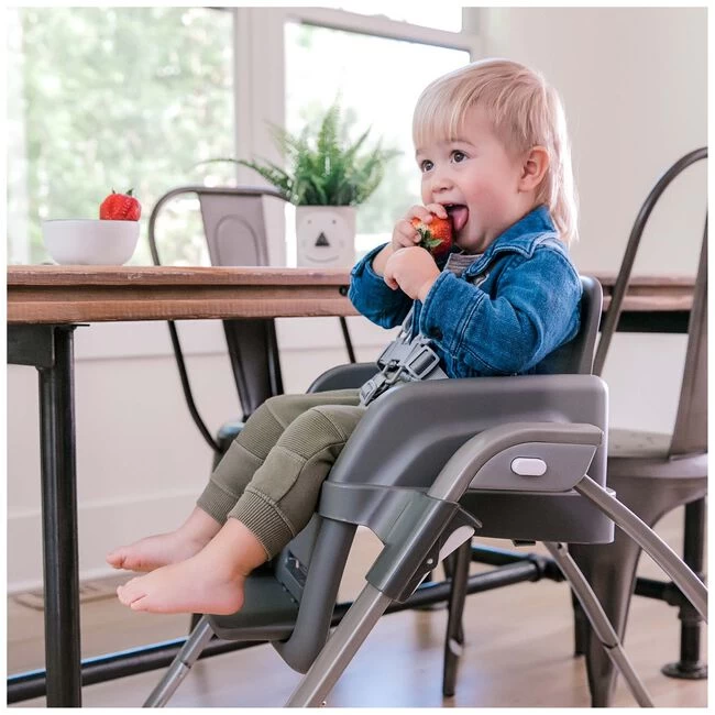 Ingenuity SmartServe 4-in-1 High Chair 7 Ingenuity SmartServe 4-in-1 High Chair - Afbeelding 5