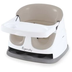 Ingenuity Babybase 2-in-1 Seat