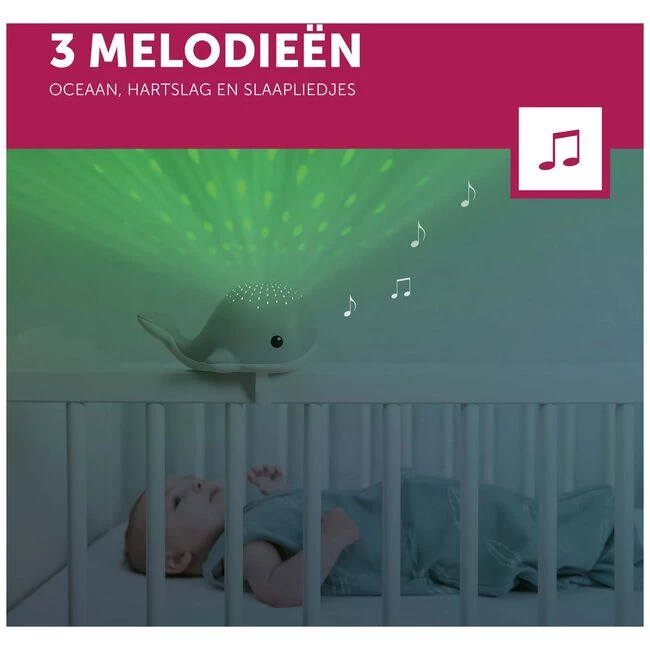 Zazu Projector Wally 7 Zazu Projector Wally - Afbeelding 5