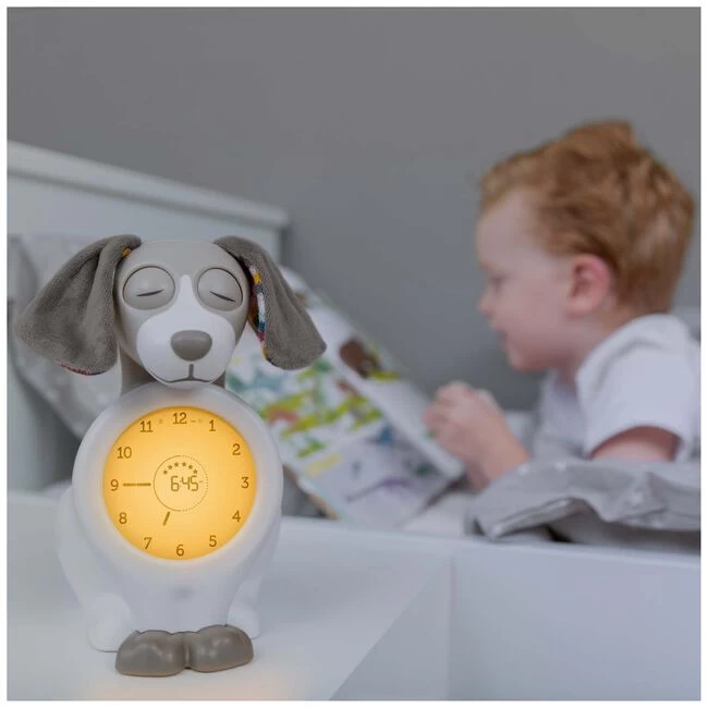 Zazu Slaaptrainer Davy 6 Zazu Slaaptrainer Davy - Afbeelding 4