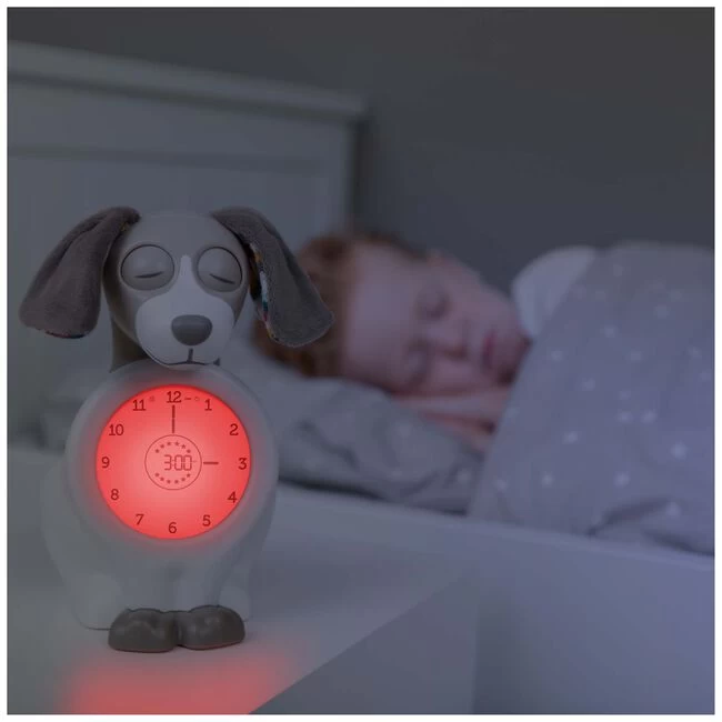 Zazu Slaaptrainer Davy 7 Zazu Slaaptrainer Davy - Afbeelding 5