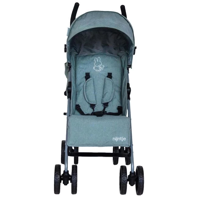 Prénatal Buggy Nijntje 4 Prénatal Buggy Nijntje - Afbeelding 2