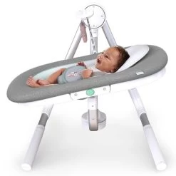 Ingenuity Anyway Sway Draagbare Babyschommel -Babywinkel Voordeel 136350 1363500001 3