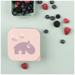 Done By Deer Snackbox Set 9 Done By Deer Snackbox Set -Babywinkel Voordeel 142380 1423800246 3